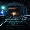 Underground Never Dies✪Progressive House Mix✪ Vinyl 12''