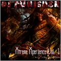 Dj Punisher Xtreme Xperience Vol.1