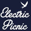 Francois Kevorkian Live Electric Picnic Ireland 1.9.2012