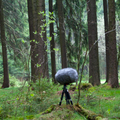 Through The Years: Acoustic Ecology & Field Recordings w/ Walya: 26th December '22