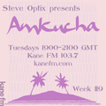 Steve Optix Presents Amkucha on Kane FM 103.7 - Week 119