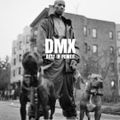 @DJMATTRICHARDS | DMX MIX