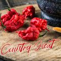 COUNTRY HEAT - 3LP MIX