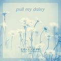 Pull My Daisy - A Jazzy Folk Funk & Trippy Troubadours Mix