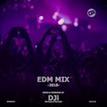 2018 EDM Mix [@DJiKenya]