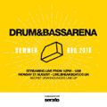 Serum & Voltage - Drum & Bass Arena - Summer BBQ - 2018