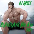 DJ Bruce BeArStAtIc  Mix  N° 26 2022