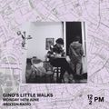 Gino's Little Walks 14-06-21