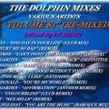 THE DOLPHIN MIXES - VARIOUS ARTISTS - ''VOLUME 81'' (RE-MIXED)