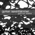 Gunter Saxenhammer - « Good-bye sunshine » - Bruits de Fond 09 (2005)