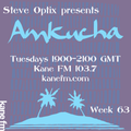Steve Optix Presents Amkucha on Kane FM 103.7 - Week Sixty Three