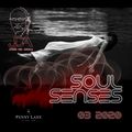 Soul Senses    03 2020