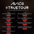 Avicii @ True Tour, Palais Omnisport De Paris Bercy, France 2014-02-14