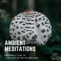 Ambient Meditations Season 2 - Vol 32 - LoFi Mix by David Ireland