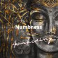 From Numbness To Awakening 2