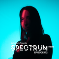 Joris Voorn Presents: Spectrum Radio 172