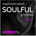 Sophisticated Soulful Grooves Volume 8 (August 2015)