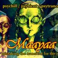 MAAYAA- mistaking the transient for the real