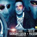 The Best Of PULSEDRIVER // 100% Vinyl // 1999-2005 // Mixed By DJ Goro