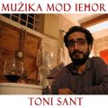Mużika Mod Ieħor ma' Toni Sant - 5