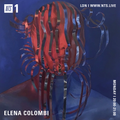 Elena Colombi - 27th January 2020