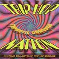 Trip Hop Nation Tripnotic Dementia 1996 CD Acid Breaks