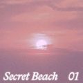 Secret Beach ~ 01