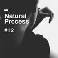 Natural Process #12