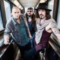 THE WINERY DOGS are featured on this week's 'Dog Themed' Triple Play!