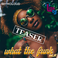what the funk vol.14 - TEASER