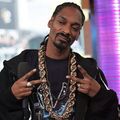 Bballjonesin - Return of The Lil Ghetto Boy - Best of Snoop Dogg Vol 4