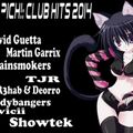 DJ Pich! Club Hits 2014.1