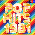 POP HITS OF 1981 : STANDARD EDITION - 25 TRACKS