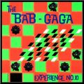 Free Time Records - Bab Gaga Experience 10