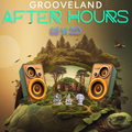 Grooveland Afterhours Live Set - Firewall