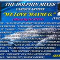 THE DOLPHIN MIXES - VARIOUS ARTISTS - ''WE LOVE 'WAYNE G' REMIXES'' (VOLUME 2)