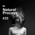 Natural Process #33