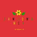 Jamdown Mix _Vol. 1