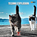 Techno Explosion - Doc Idaho & DjCokane T.E.R.006