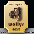 Dj wollys ent reggae one drop vol 12 2020 mixtape@zionsuprim