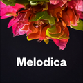 Melodica 7 March 2022