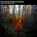Electric Brain Storm Vol. 6 part 2 - The Future Sound Of London