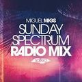 Miguel Migs - Sunday Spectrum Traxsource Radio Mix 03.2016