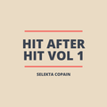 HIT AFTER HIT VOL 1