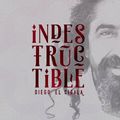 Diego El Cigala - LP Indestructible 