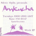 Steve Optix Presents Amkucha on Kane FM 103.7 - Week 117