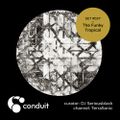 Conduit Set #037 | The Funky Tropical (curated by DJ Seriousblack) [TerraSonic]