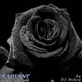 Radiant | Modern Dark Synth | DJ Mikey