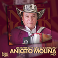 Aniceto Molina Mix (Destroyer Dj Ft. Ecko Deejay)