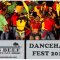 Dancehall Fest 2012